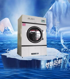 伊麗莎洗滌設(shè)備 榮登中國(guó)十大品牌，引領(lǐng)上海洗滌行業(yè)新篇章